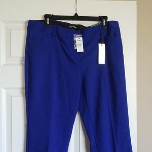 express columnist brand new pants